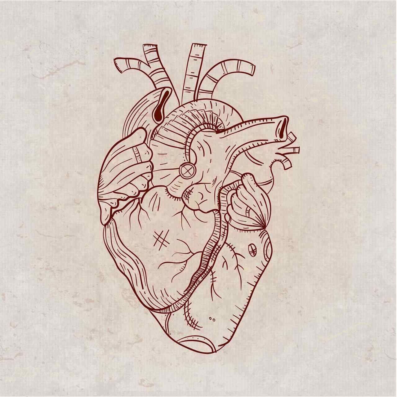 Operar ou não operar, por que uma cirurgia cardíaca foi indicada?